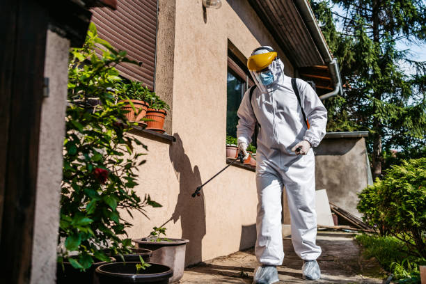 Best Bed Bug Extermination  in Atkins, VA