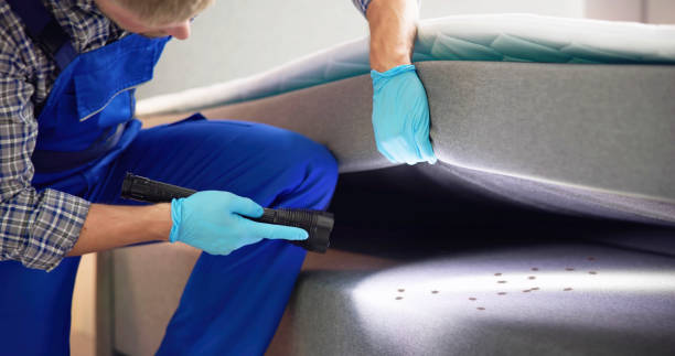Best Exterminator Services  in Atkins, VA