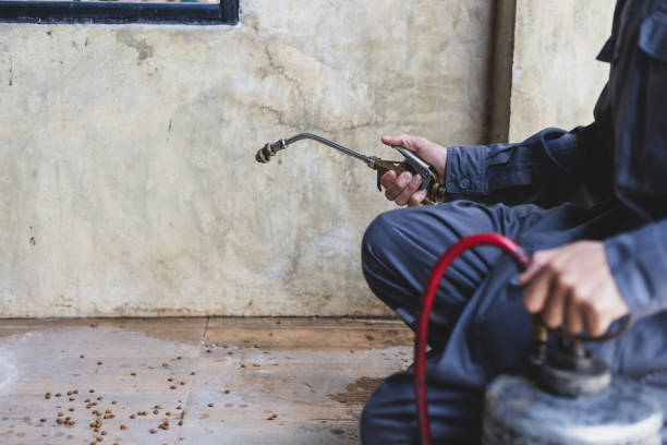 Best Pest Control for Businesses  in Atkins, VA